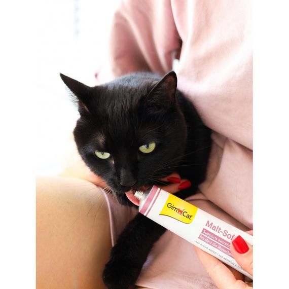 Паста GimCat Every Day Malt-Soft Paste Extra для котів для виведення шерсті зі шлунку 50 г | Зображення 4