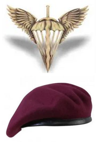 Берет + кокарда "ДШВ" (бронза)