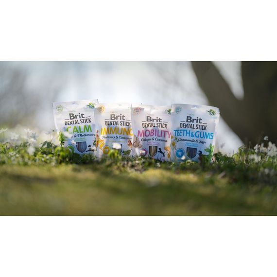 Ласощі Brit Dental Stick Teeth and Gums для дорослих собак з ромашкою та шавлією для здоров я ясен і зубів 7 шт 251 г | Зображення 5