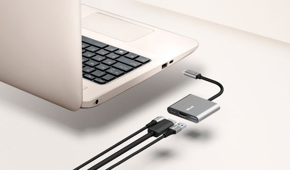 USB-хаб Trust Dalyx 3-in-1 Multiport USB-C Adapter ALUMINIUM (23772_TRUST) | Зображення 1