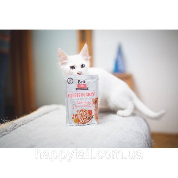 Корм влажный Brit Care Fillets in Gravy Tender Turkey and Savory Salmon д/кофе филе в соусе с индейкой и лососем 85 г | Зображення 3