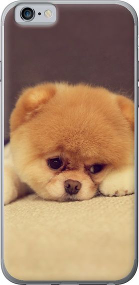 Чехол на iPhone 6 Boo 2 "890u-45-17620"