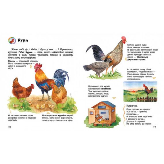 Енциклопедія дошкільника Домашні тварини 614029 для найменших | Зображення 3