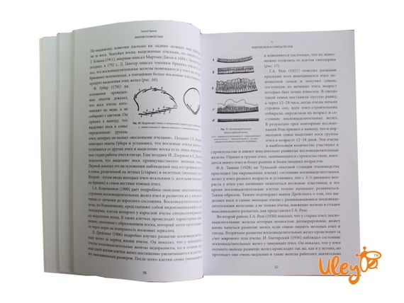 Книга "Биология пчелиной семьи" Георгий Таранов | Зображення 2