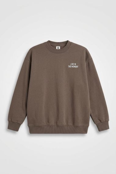 Дитячий світшот для хлопчика Green Cotton 122 см Кавовий (25111266)