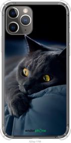Чохол на iPhone 11 Pro Димчастий кіт "825sp-1788-2448"