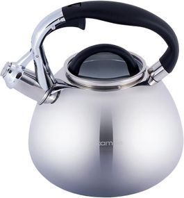Чайник Kamille Whistling Kettle 2.8л з нержавіючої сталі зі свистком і скляною кришкою
