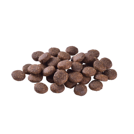 Корм сухий Brit Care Dog Grain-free Junior Large Breed для молодих собак великих порід беззерновий з лососем 1 кг | Зображення 1