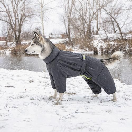 Комбинезон Pet Fashion «Cold» для такс, размер S, серый | Зображення 4