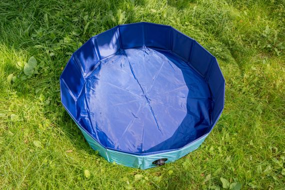 Басейн для собак Papillon Dog Swimming Pool, 80 см х 20 см | Зображення 2