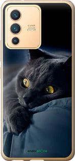 Чохол на Vivo V23 Димчастий кіт "825u-2642-2448"