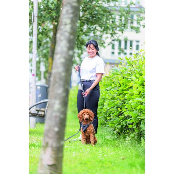 Шлея Trixie CityStyle H-harness для собак бавовна L–XL 75–120 см 25 мм чорна | Зображення 1