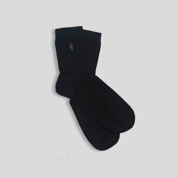 Шкарпетки чоловічі класичні демісезонні Тм TwinSocks Чорний, 27 / L / 41-42