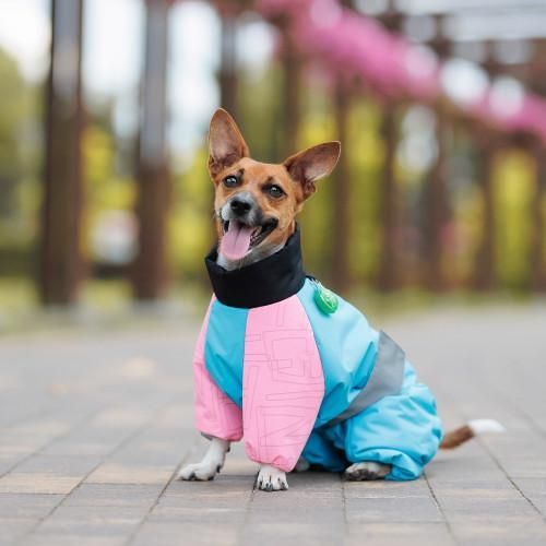 Комбінезон Pet Fashion Milly дівчинка для собак S3 | Зображення 3