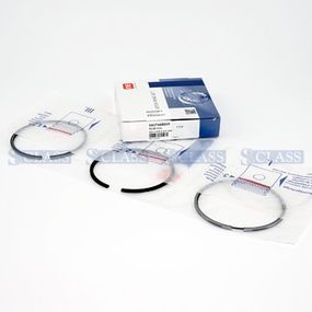 Кольца поршневые 0.50 Citroen Jumper/Jumpy/Fiat Ducato/Scudo/Boxer/Expert 1.9TD 3.0-2.0-3.0, NPR, 120037004421,