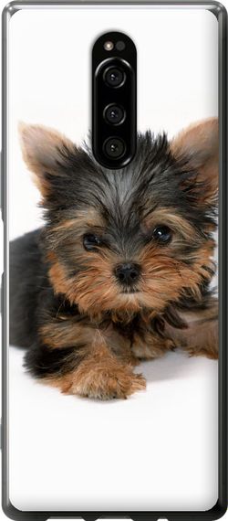 Чехол на Sony Xperia XZ4 Щенок йоркширского терьера "931u-1623-17620"
