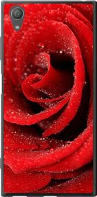 Чехол на Sony Xperia XA1 Plus G3412 Красная роза "529u-1129-17620"