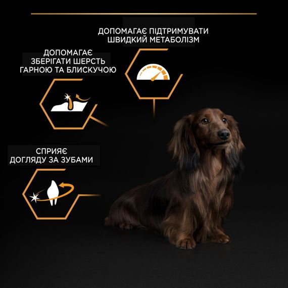 Сухой корм для собак малых пород с курицей Purina Pro Plan Small & Mini Everyday Nutrition 3 кг | Зображення 3