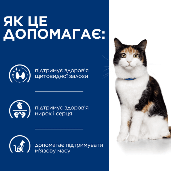 Hill’s Prescription Diet y/d Thyroid Care Сухий корм для підтримки здоров’я щитоподібної залози, 3 кг | Зображення 3