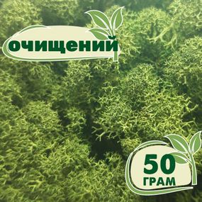 Очищений стабілізований мох ягель Зелений темний 50 грам