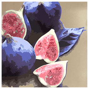 Металокерамічний дизайн-обігрівач UDEN-500К "Інжир" універсал