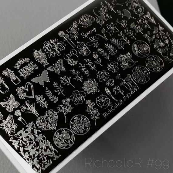 Пластина 099 для стемпінгу RichColor (12х6см)