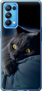 Чохол на Oppo Reno5 Pro Димчастий кіт "825u-2239-2448"