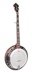 Банджо блюграс Richwood RMB-905-A