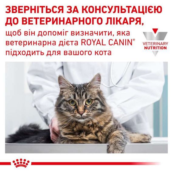 Вологий корм Royal Canin Gastrointestinal Cat для котів при проблемах з травленням (шматочки в соусі), 85 г | Зображення 5