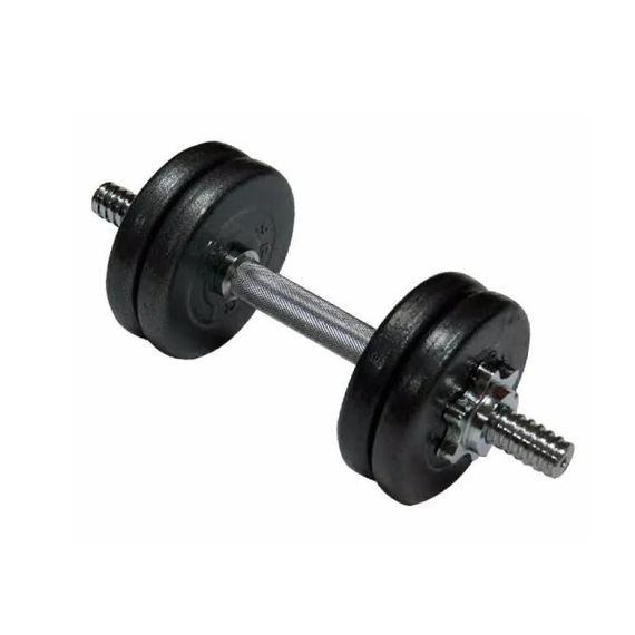 Гантель наборная литая 1шт 10 кг TI-968-747