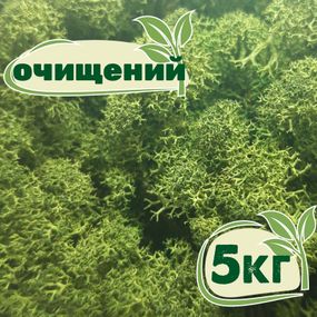 Очищений стабілізований мох ягель Зелений темний 5 кг