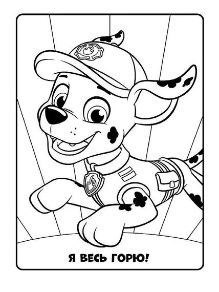 Книжка-розмальовка Щенячий патруль "Разом ми сила!" 228006 укр. мовою | Зображення 3