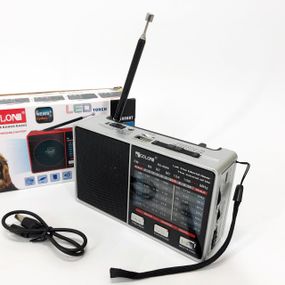 Радио GOLON RX-8866 цифровой портативный радиоприемник с фонариком функцией PowerBank. Цвет: белый