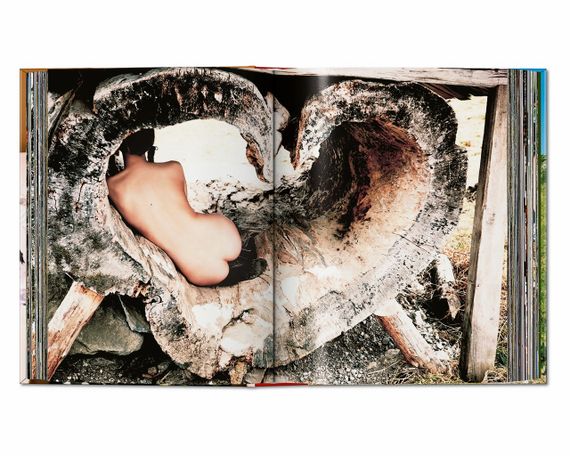 Книга Эллен фон Унверт про фешн-фотографию Ellen Von Unwerth: Heimat подарочные книги для фотографов | Зображення 6