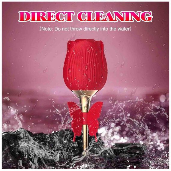 Вібростимулятор ROSE Flirting Partner USB sexstyle | Зображення 1