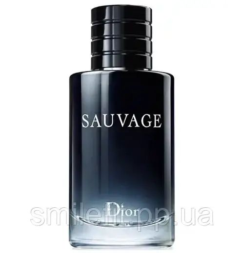 Мужская туалетная вода Dior Sauvage 100 мл | Зображення 1