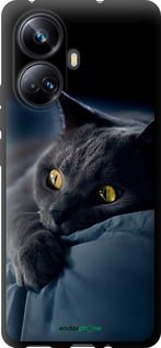 Чохол на Realme 10 Pro Plus Димчастий кіт "825b-2944-2448"