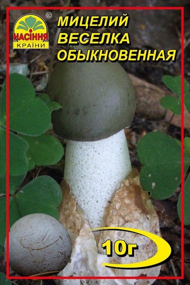 Міцелій гриба Веселка лікувальна 10 г