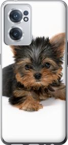 Чехол на OnePlus Nord CE 2 Щенок йоркширского терьера "931u-2589-17620"