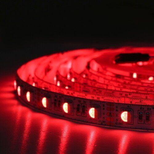 Світлодіодна стрічка BIOM Professional BPS-G3-12-5050-60-RGBW-20, негерметична, 1м | Зображення 4