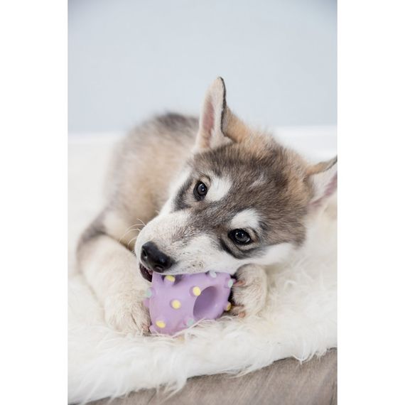 Іграшка Trixie для цуценят Кільце Junior латекс 8 см | Зображення 6