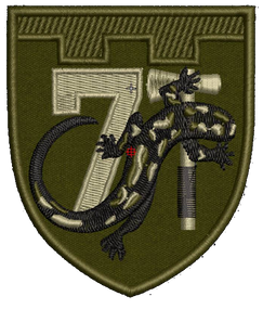 Шеврон 7 ОБр ТРО