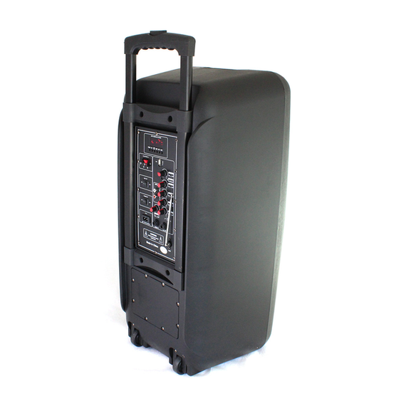 Портативна колонка Su-Kam 1010 + 2 мікрофони + BT 12v220v | Зображення 3