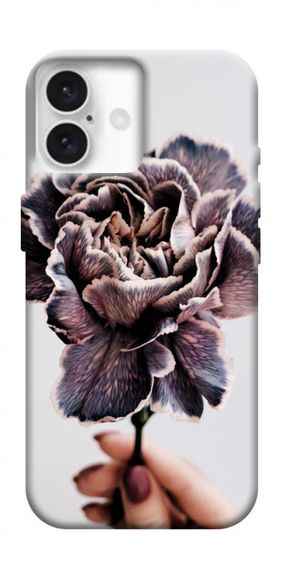 Чохол з картинкою Гвоздика для Apple iPhone 16 (6.1")