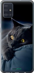 Чохол на Samsung Galaxy A51 2020 A515F Димчастий кіт "825t-1827-2448"