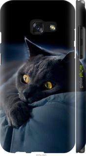 Чохол на Samsung Galaxy A3 (2017) Димчастий кіт "825m-443-2448"