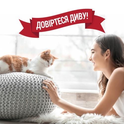 Спрей 8in1 NM Cat Orange Oxy Spray для котів, усунення плям і запахів, 709 мл | Зображення 3