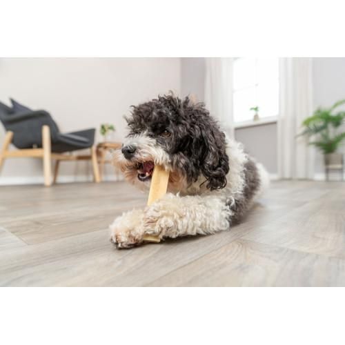 Ласощі Trixie Chewing cheese для собак, M: 13.5 см, 75 г | Зображення 6