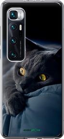 Чохол на Xiaomi Mi 10 Ultra Димчастий кіт "825t-2064-2448"