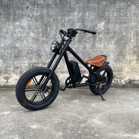 Електровелосипед CB-01a, 1000W, 48V20Ah, колесо 20х5", 200кг, до 50км, 50км/ч